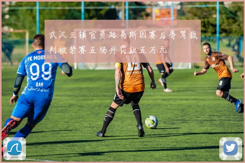 武汉三镇官员路易斯因赛后辱骂裁判被禁赛五场并罚款五万元