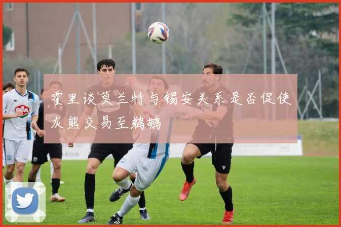 霍里谈莫兰特与锡安关系是否促使灰熊交易至鹈鹕